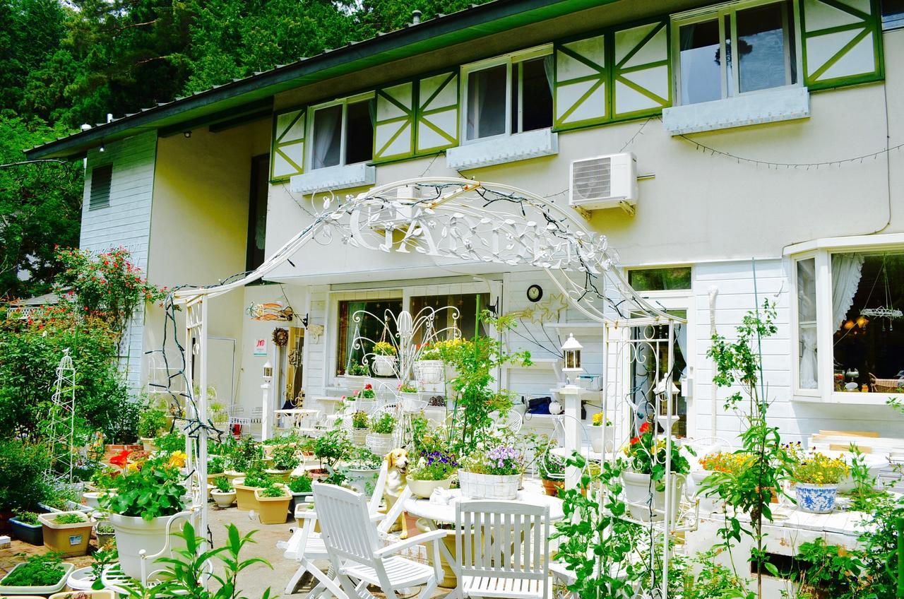 Mt Fuji Cat&Dog&Spa Pension Blue Poppy Fudžikawagučiko Exteriér fotografie