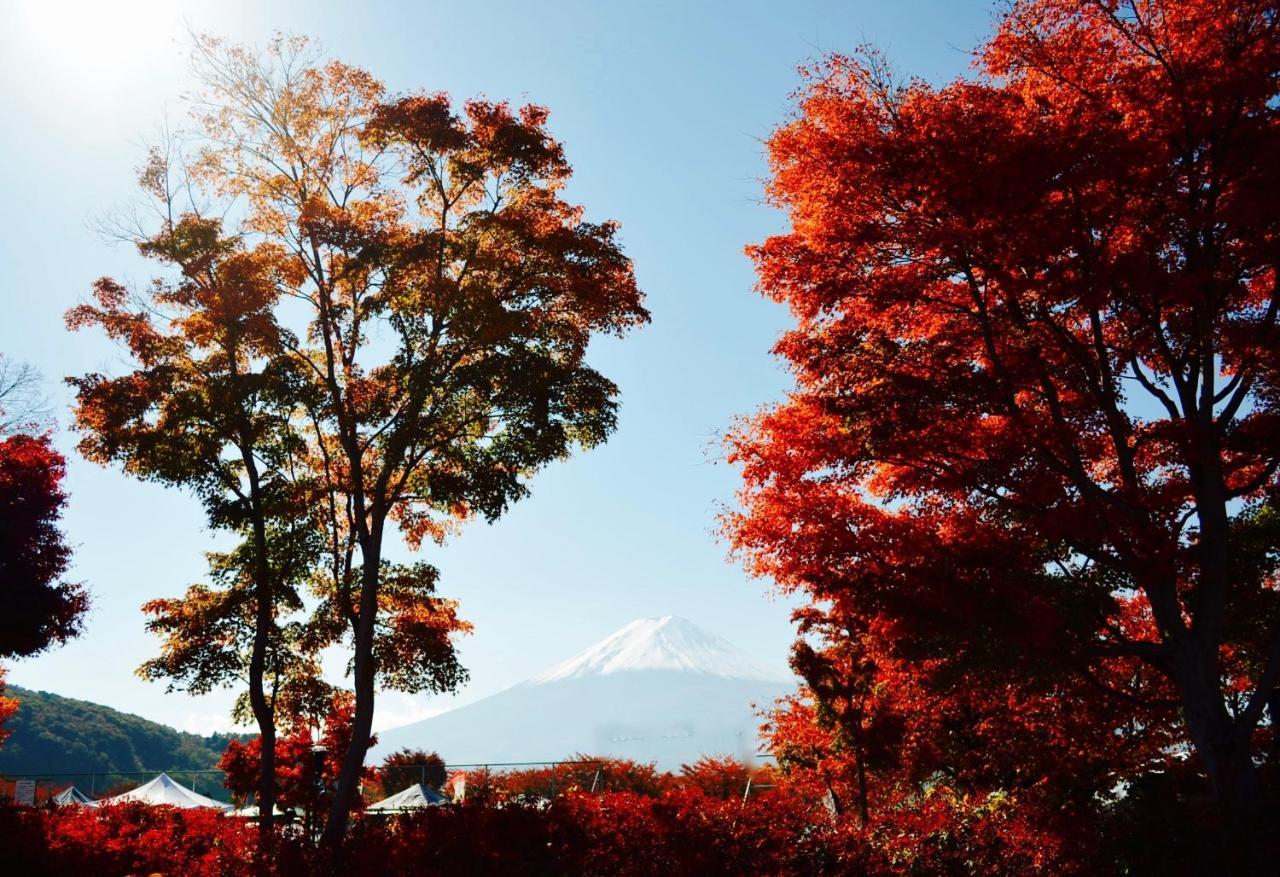 Mt Fuji Cat&Dog&Spa Pension Blue Poppy Fudžikawagučiko Exteriér fotografie