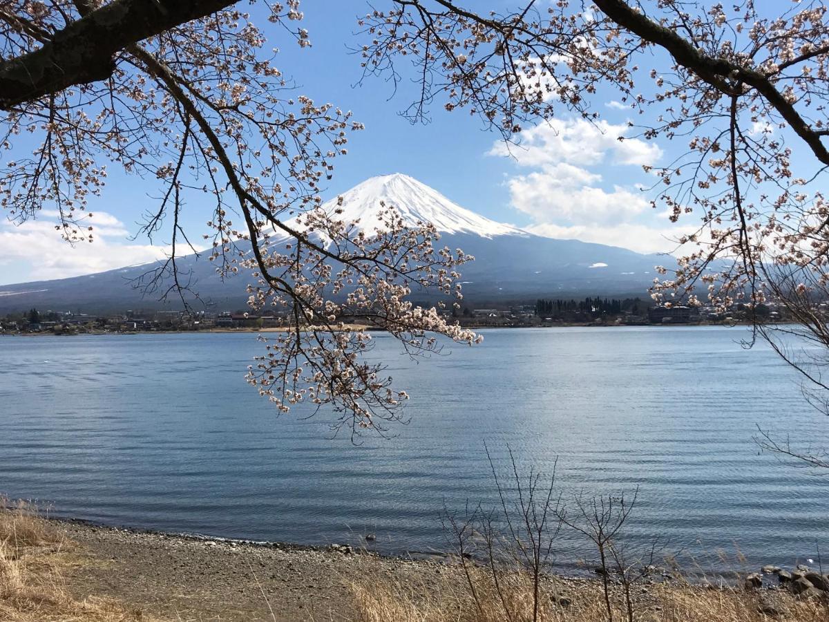 Mt Fuji Cat&Dog&Spa Pension Blue Poppy Fudžikawagučiko Exteriér fotografie